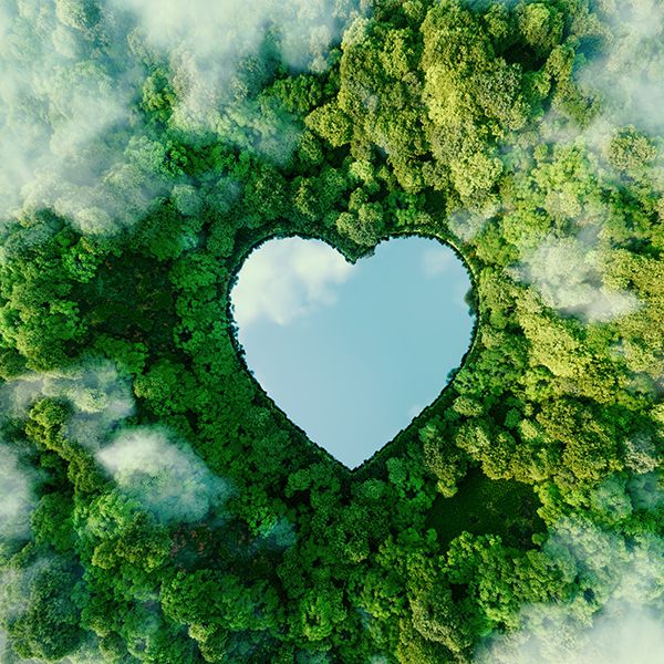 Vogelperspektive von einem grünen Wald mit einem See in Herz Form