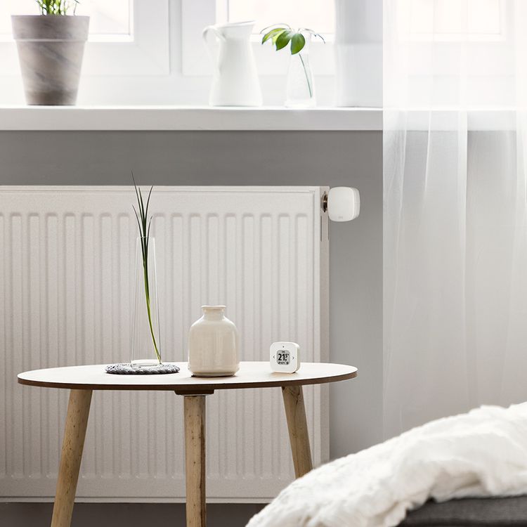 Lifestylebild von Eve