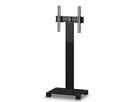 PR2550 - Verre noir - Noir