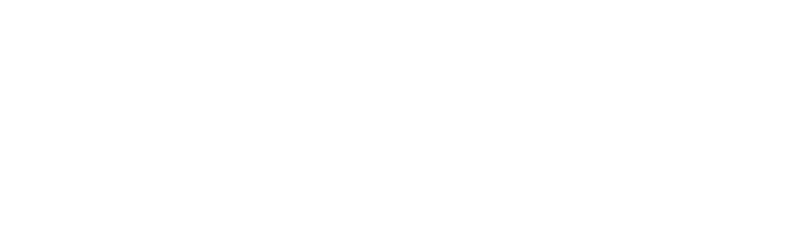 Logo von RTI in Weiss