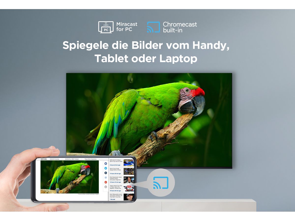 43P655 - 43 Zoll 4K UHD SmartTV,GoogleTV, WCG
