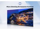 43P655 - 43 Zoll 4K UHD SmartTV,GoogleTV, WCG