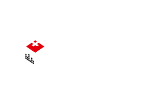 Logo MMTS - MultimediaTec Swiss