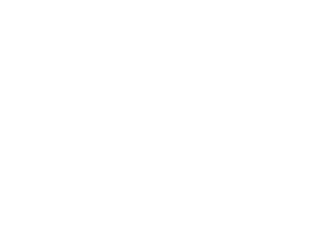 TCL Logo in weiss