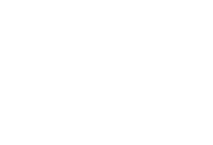 Logo Eve