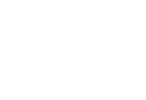 Logo Savant