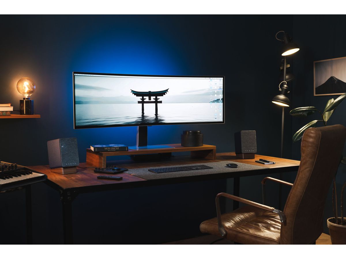 GX-10DB - schwarz, aktive Desktop-Lautsprecher
