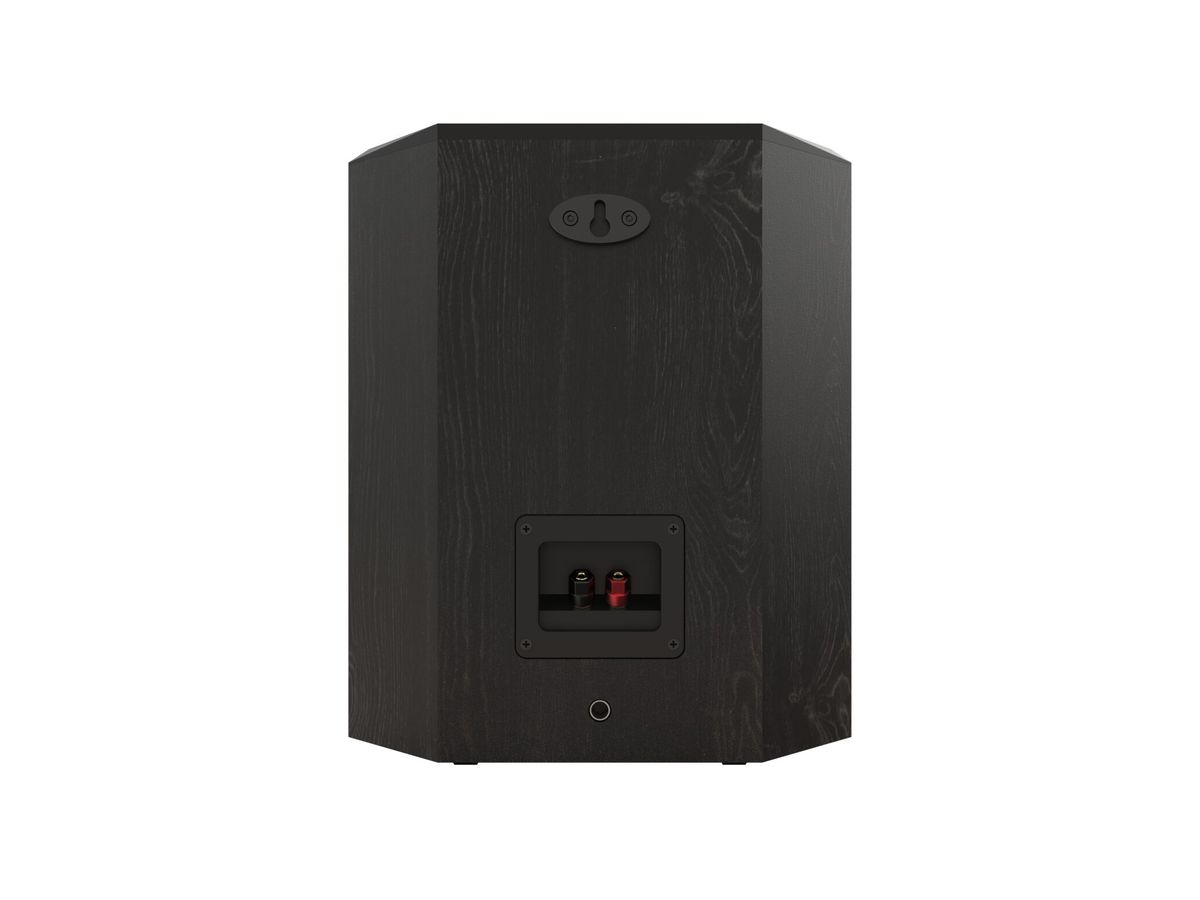 RP-502S II - Black, Surround Speaker