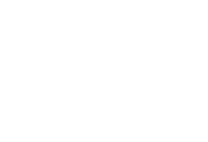 Logo Sonos