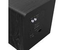 RP-1400SW - schwarz, 14" Subwoofer