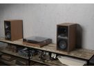 The Nines - walnut, active Speaker, 250W