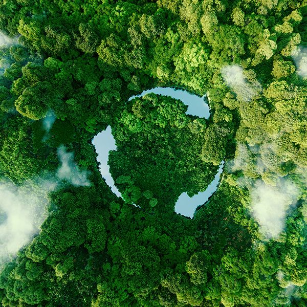 Vogelperspektive von einem grünen Wald mir einer Recycling Form als Fluss