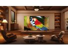 50C655 - 50 Zoll,4K,QLED,GoogleTV,LED Direct