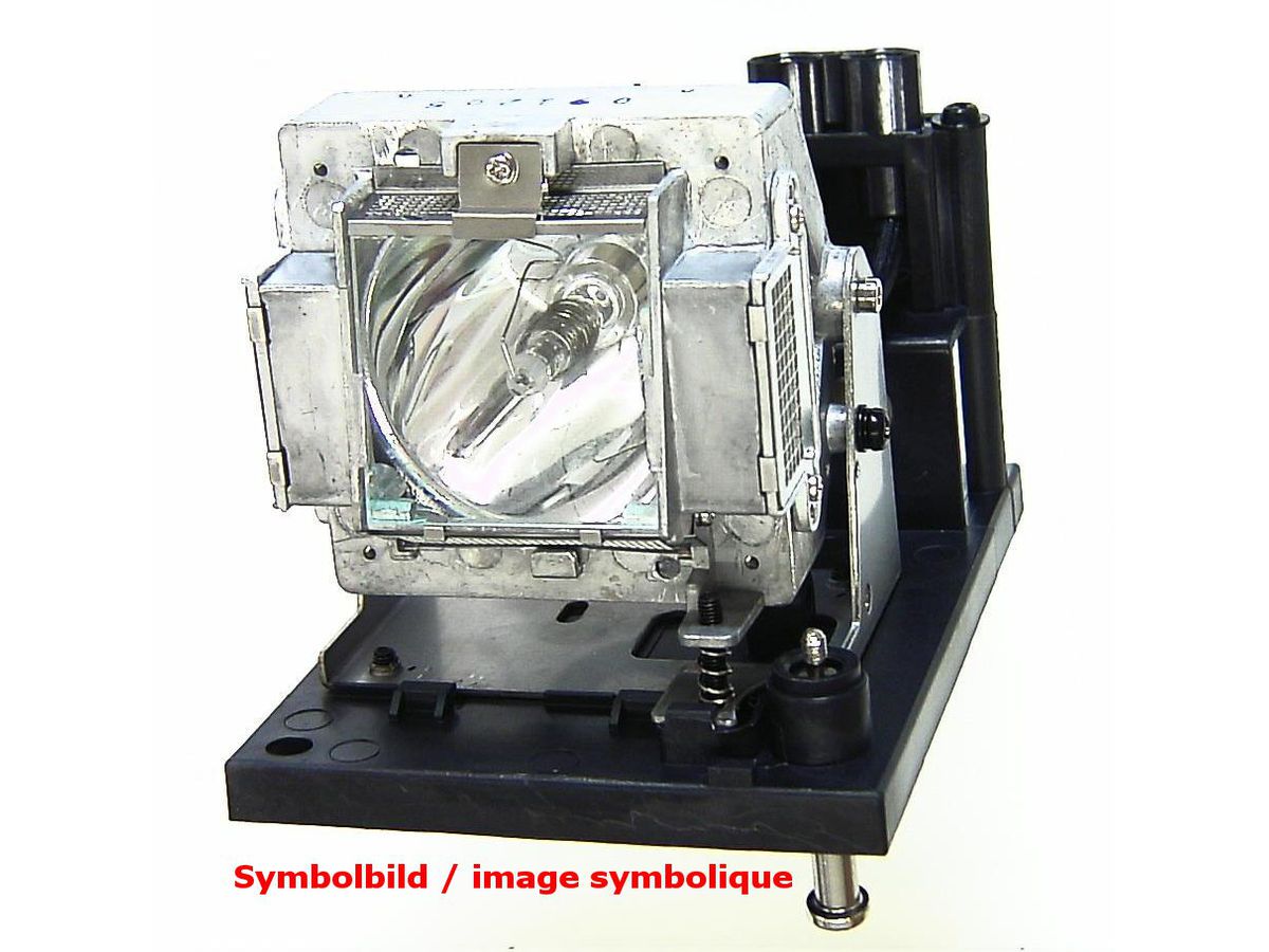 Ampoule pour D8800 / D8010 / D8900