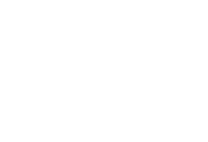 Onkyo Logo in weiss