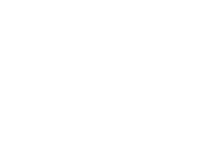 Logo Conforama