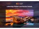 43P655 - 43 Zoll 4K UHD SmartTV,GoogleTV, WCG