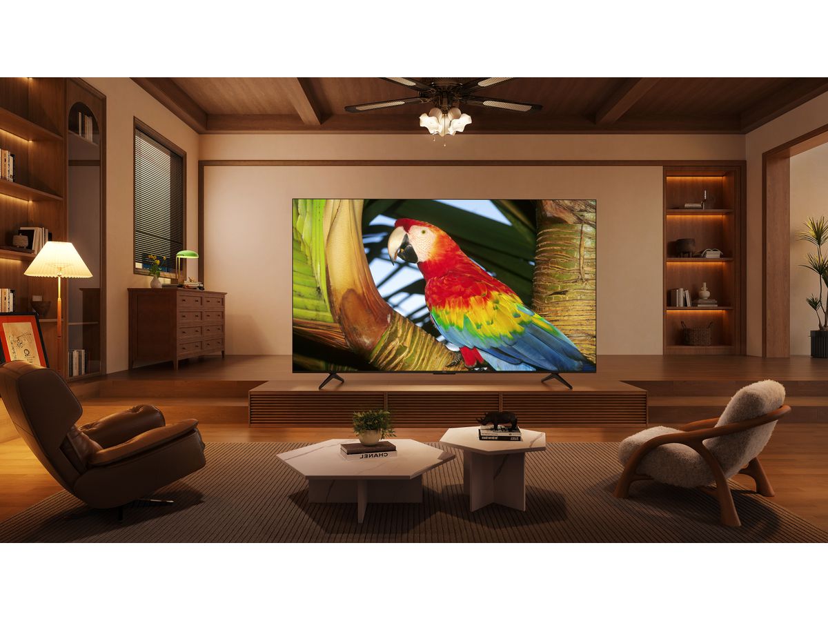 50C655 - 50 Zoll,4K,QLED,GoogleTV,LED Direct