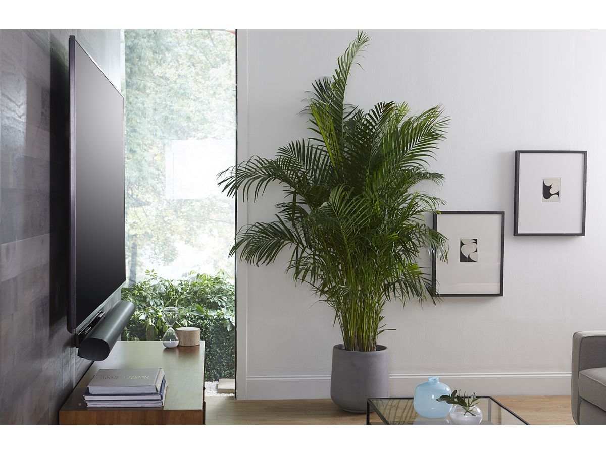 Wandhalterung für Sonos ARC & ARC ULTRA - Schwarz, ausziehbar