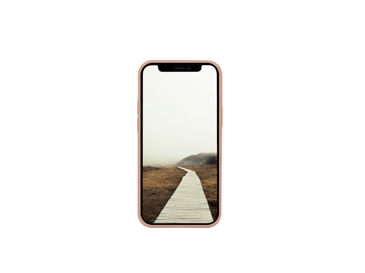 Greenland - iPhone 13 mini - Pink Sand